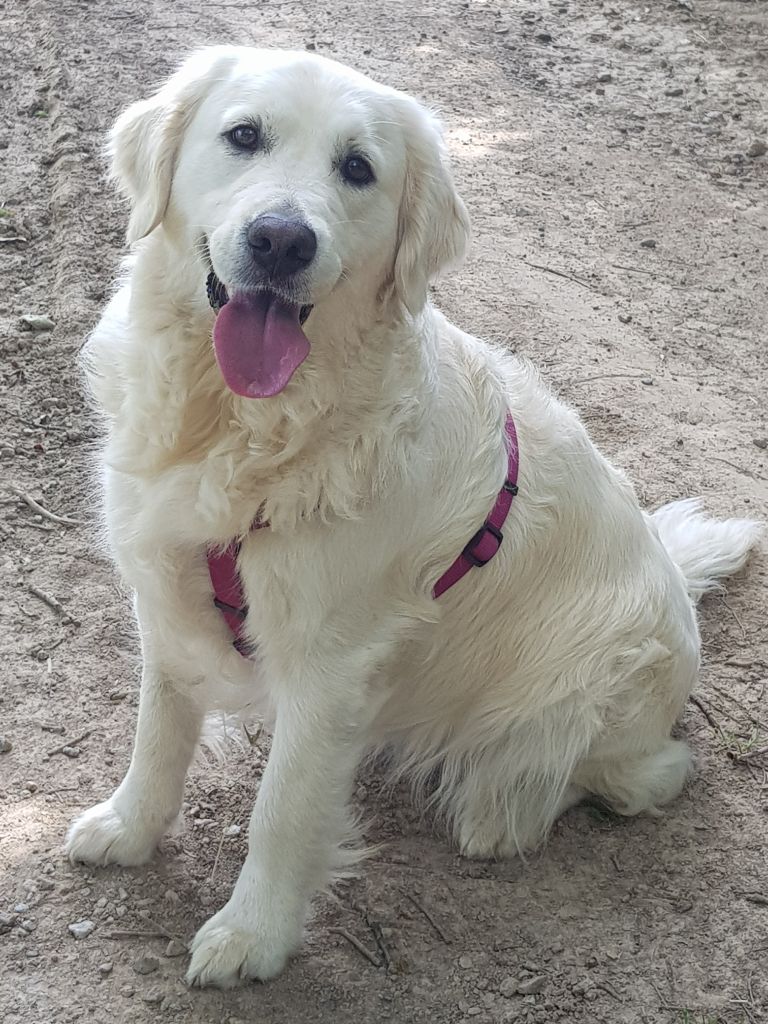 Perla